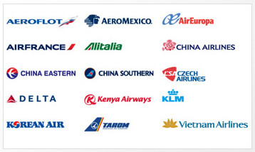 デルタ航空提携航空会社のイメージ